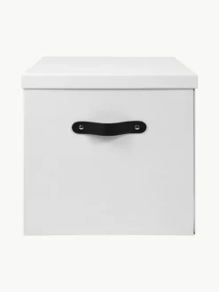 Aufbewahrungsbox Texas