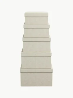 Aufbewahrungsboxen Joel, 5er-Set