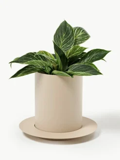 Übertopf Auran, H 21 cm