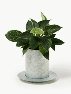 Übertopf Auran, H 21 cm