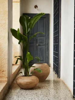 Übertopf Dodu aus Zement