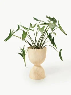 Übertopf Evoke, H 70 cm