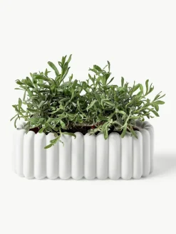 Übertopf Mist, B 35 cm