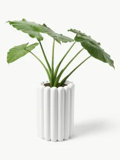 Übertopf Mist, H 27 cm