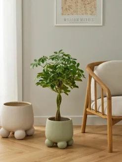 Übertopf Olea, H 26 cm