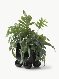 Übertopf Olea, H 26 cm