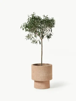 Übertopf Patmos, H 29 cm