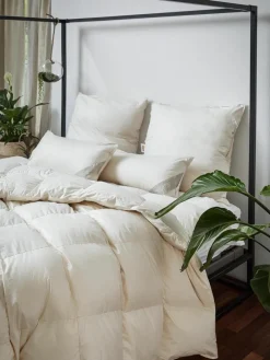 Bettdecke Premium aus Bio-Daunen und Bio-Baumwolle, leicht