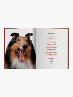 Bildband Dogs. Photographs 1941–1991