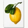 Bildband The Gourmand's Lemon. A Collection of Stories and Recipes