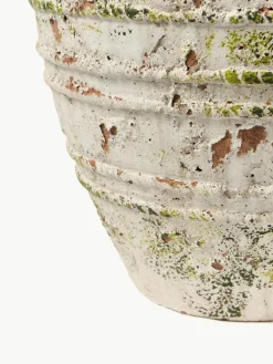 Blumentopf Porto aus Beton, H 52 cm