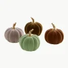 Deko-Kürbisse Mercy, 4er-Set