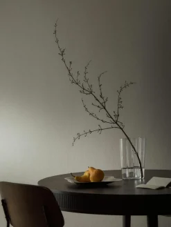 Deko-Schale Alvar Aalto aus Edelstahl