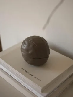 Deko-Schale Mole in Nuss-Form