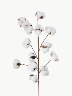 Dekozweig Baumwolle
