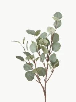 Dekozweig Eukalyptus