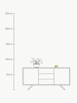 Dimmbare Kinderzimmerlampe Rainbow Leaves mit Timer-Funktion