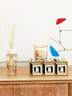 Duftkerze My First Baobab À Saint-Tropez (Thymian, Basilikum & Minze)