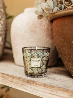 Duftkerze My First Baobab Brussels (Zeder, Sandelholz & Honig)