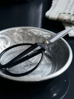 Edelstahl-Schere Shears