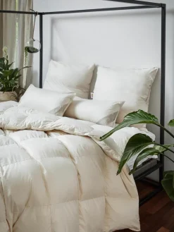 Feder-Kopfkissen Comfort mit Bio-Daunen und Bio-Baumwolle, weich