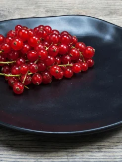 Frühstücksteller Organic, 4 Stück