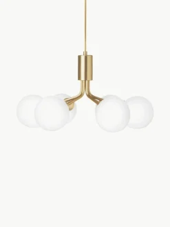 Glaskugel-Pendelleuchte Apiales