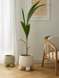 Großer Übertopf Olea, H 32 cm