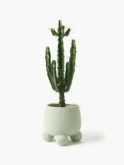 Großer Übertopf Olea, H 32 cm