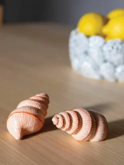 Handbemalte Salz- & Pfefferstreuer Shell aus Dolomit, 2er-Set