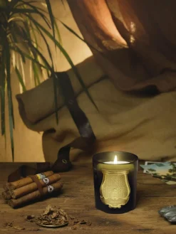 Handgefertigte Duftkerze Solis Rex (Fichtenrinde)