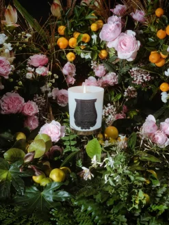 Handgefertigte Duftkerze Rose Poivrée (Bernstein, Palmarosa, Rose)