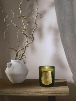 Handgefertigte Duftkerze Solis Rex (Fichtenrinde)