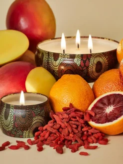 Handgefertigte Duftkerze Japonica Collection (Goji-Beere, Mango & Tarocco Orange)