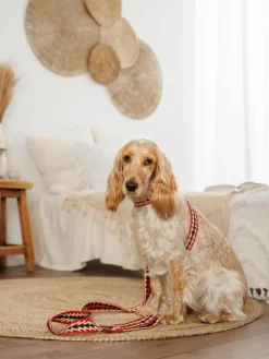 Handgefertigte Hundeleine Peruvian Arrow