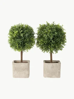 Handgefertigte Kunstbäume Moni, 2er-Set