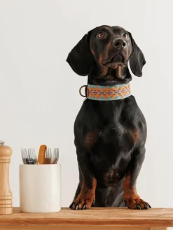Handgefertigtes Haustier-Halsband Etna, in verschiedenen Größen