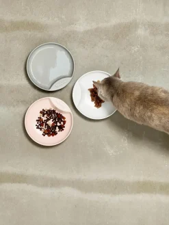 Haustiernapf Plate aus Porzellan