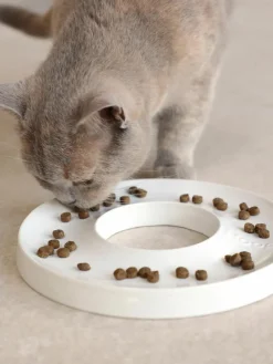 Haustiernapf Ring aus Porzellan