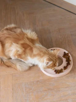 Haustiernapf Ring aus Porzellan