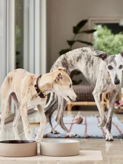 Haustiernapf Sia, in verschiedenen Größen