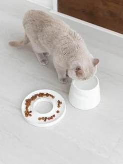 Haustiernapf Tower aus Porzellan