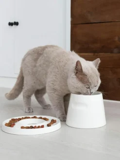 Haustiernapf Tower aus Porzellan