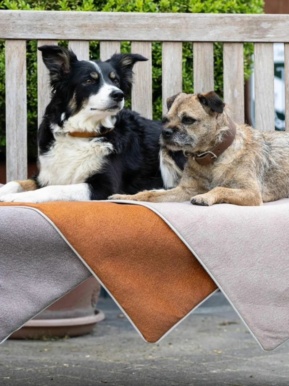 Haustier-Steppdecke Buffalo mit Anti-Rutsch-Unterseite, in verschiedenen Größen