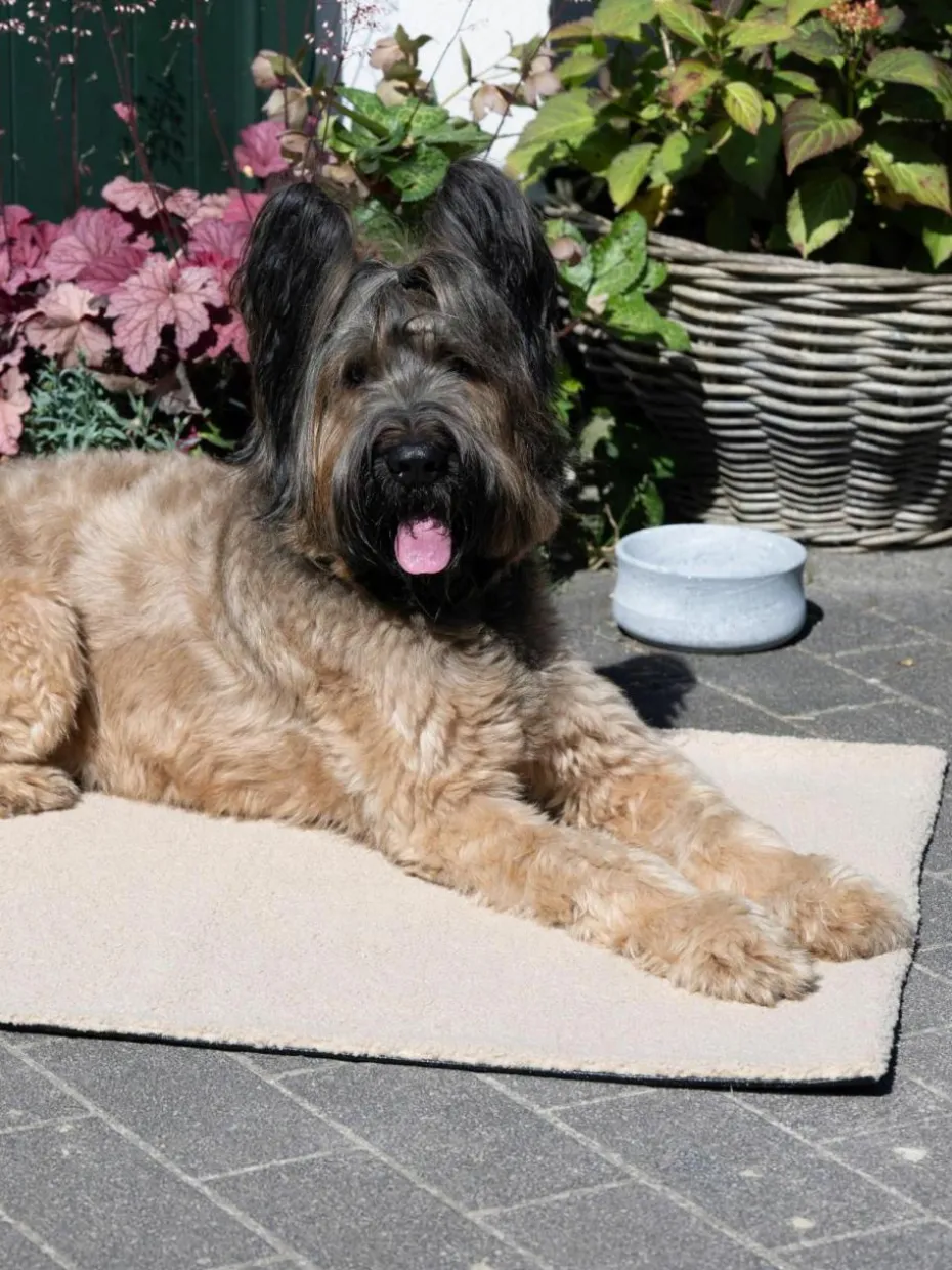 Haustier-Steppdecke Teddy mit Anti-Rutsch-Unterseite, in verschiedenen Größen