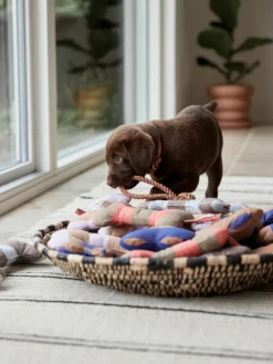 Hundespielzeug Ashi in Knochen-Form, in verschiedenen Größen