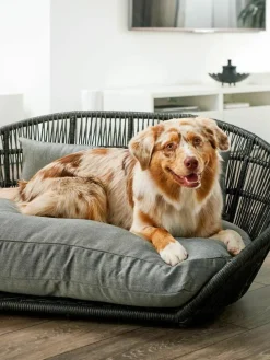 In- & Outdoor-Hundebett Prado