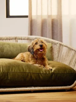 In- & Outdoor-Hundebett Vogue