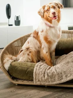 In- & Outdoor-Hundebett Vogue