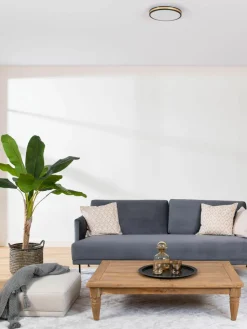 Kleine LED-Deckenleuchte Pescaito